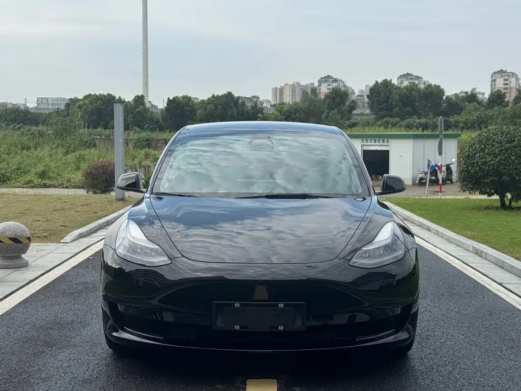 Tesla Model 3 — миниатюра 2