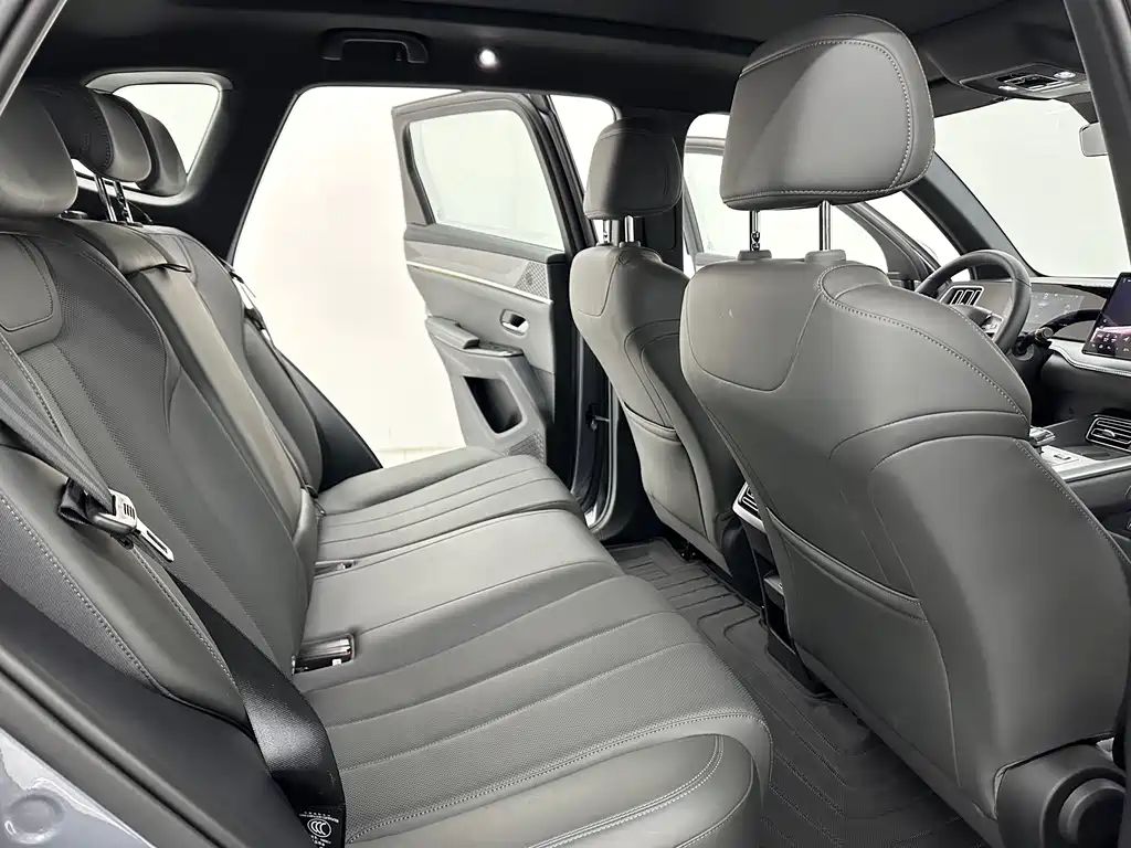 BYD SONGJIANG NEW ENERGY