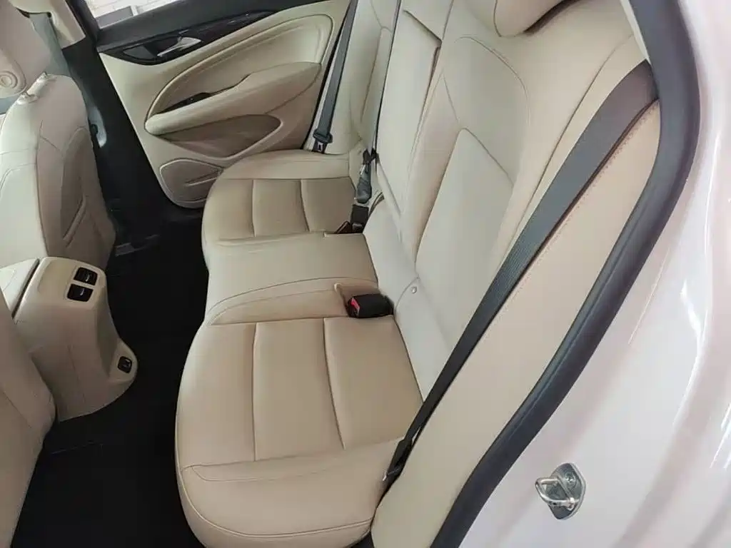 Buick Regal — миниатюра 17
