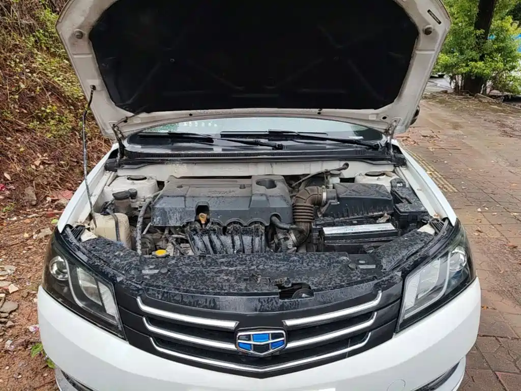Geely Emgrand — миниатюра 25