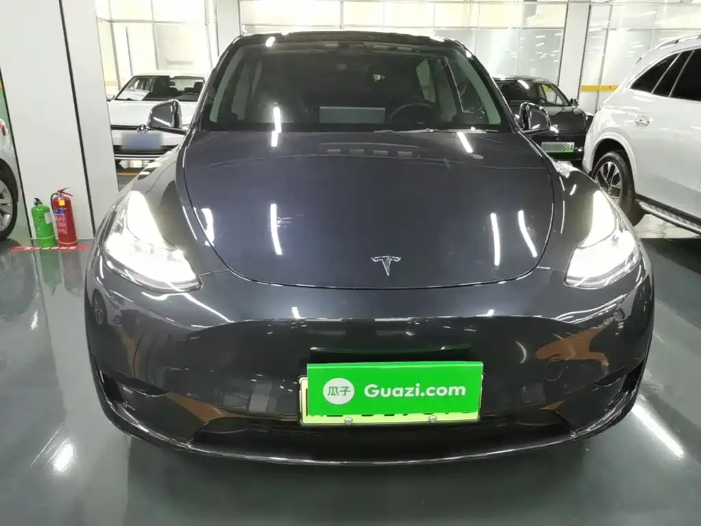 Tesla Model Y — миниатюра 3