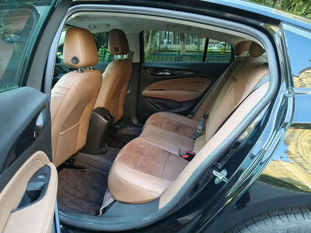 Buick Regal — миниатюра 11