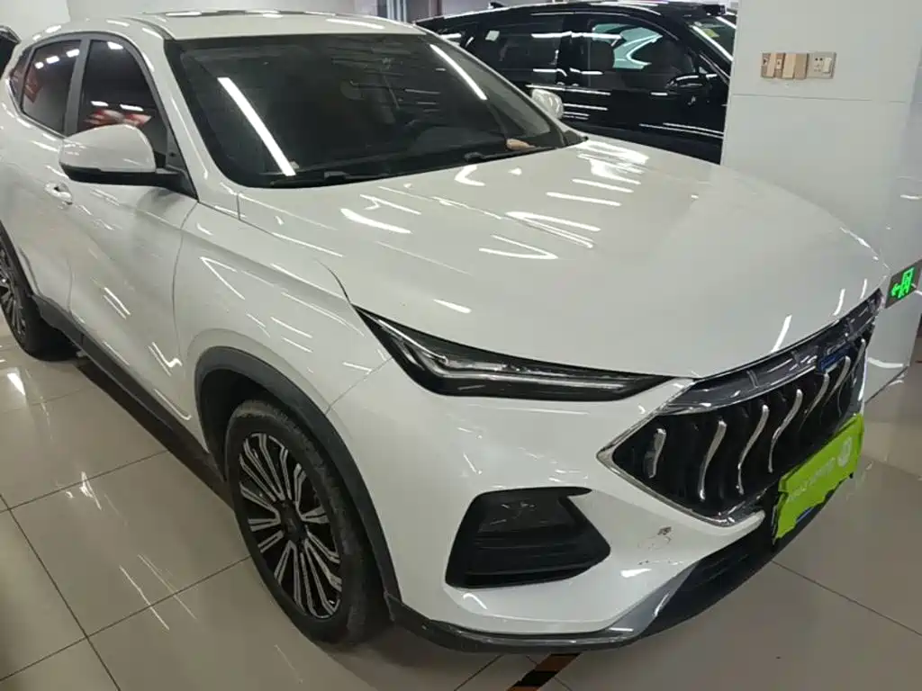 Oshan Oushang X5 — миниатюра 4