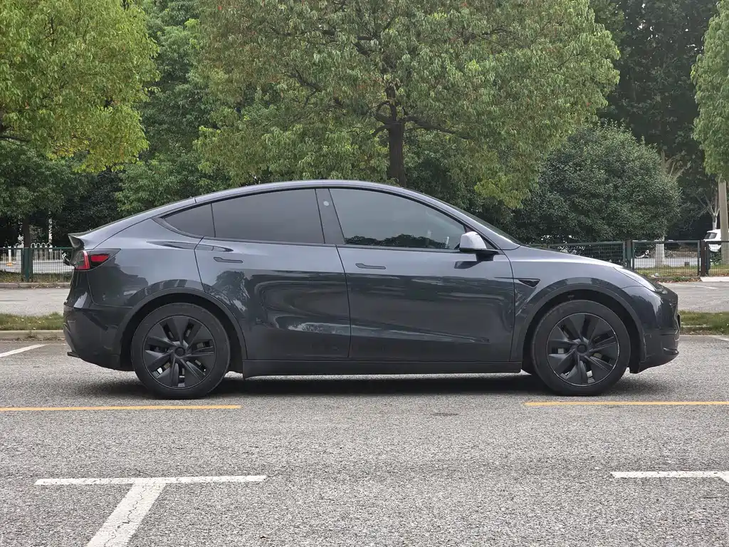 Tesla Model Y — миниатюра 4