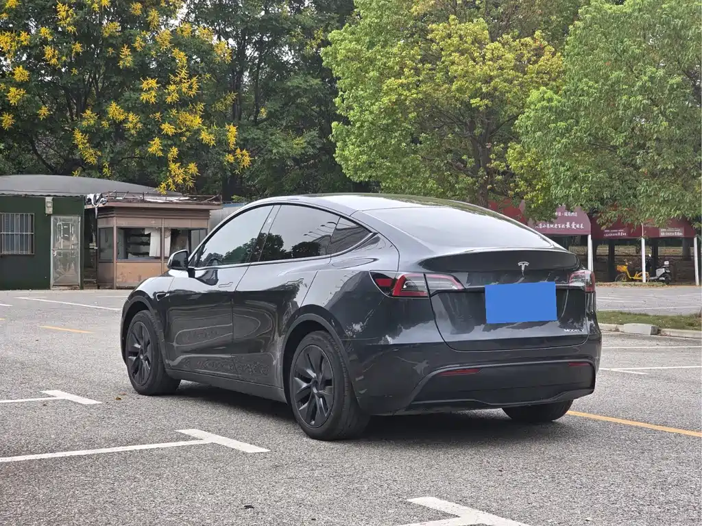 Tesla Model Y — миниатюра 7