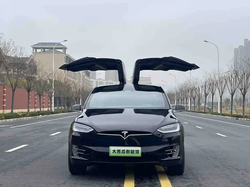 TESLA MODEL X