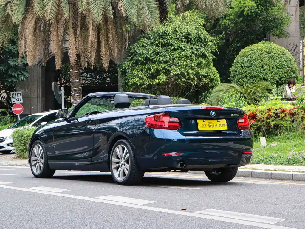 BMW 2 SERIES