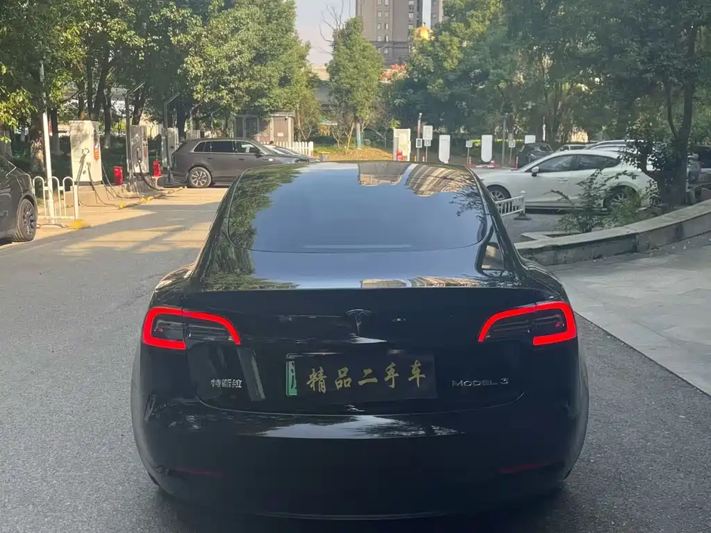 Tesla Model 3 — миниатюра 8