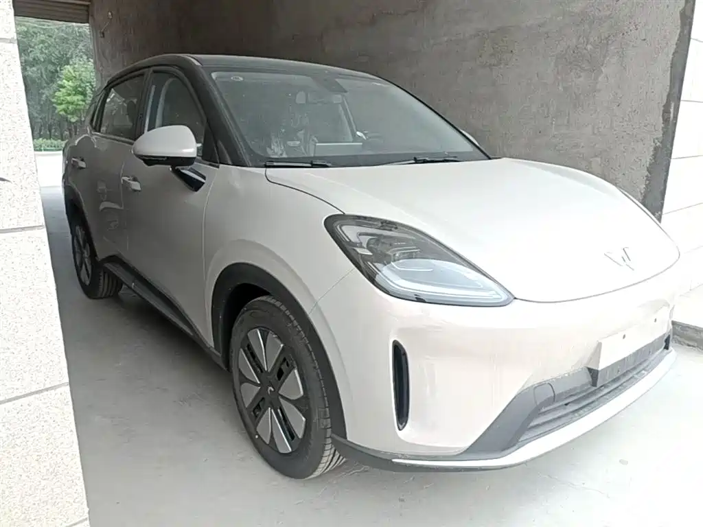 Wuling BinguoS S 2025 325km Premium