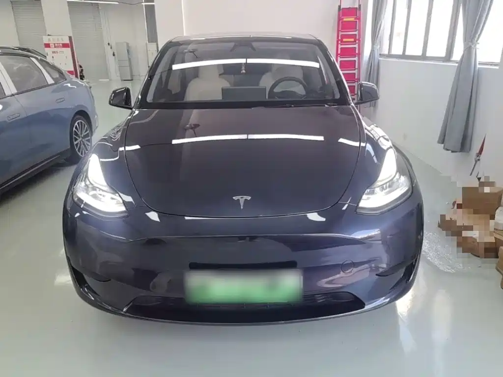 Tesla Model Y — миниатюра 3