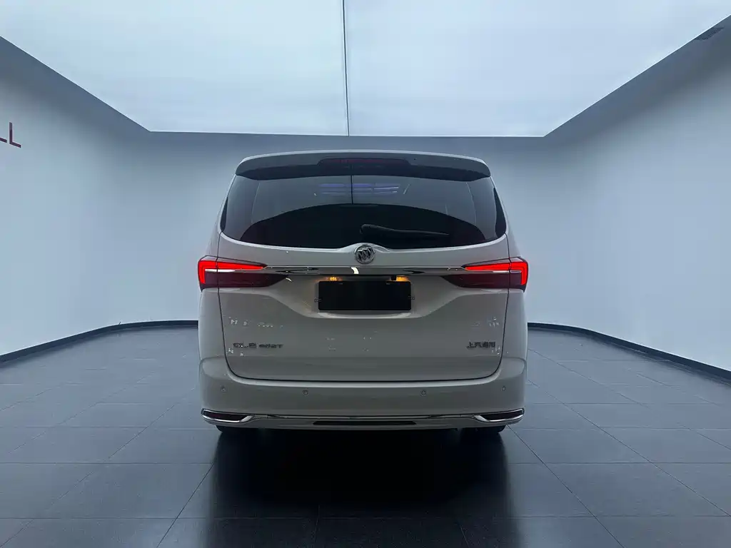 Buick GL8 — миниатюра 22