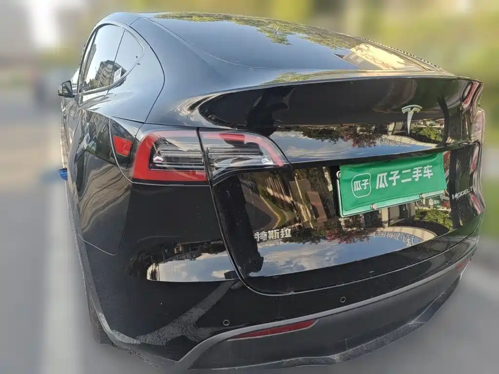 Tesla Model Y — миниатюра 25