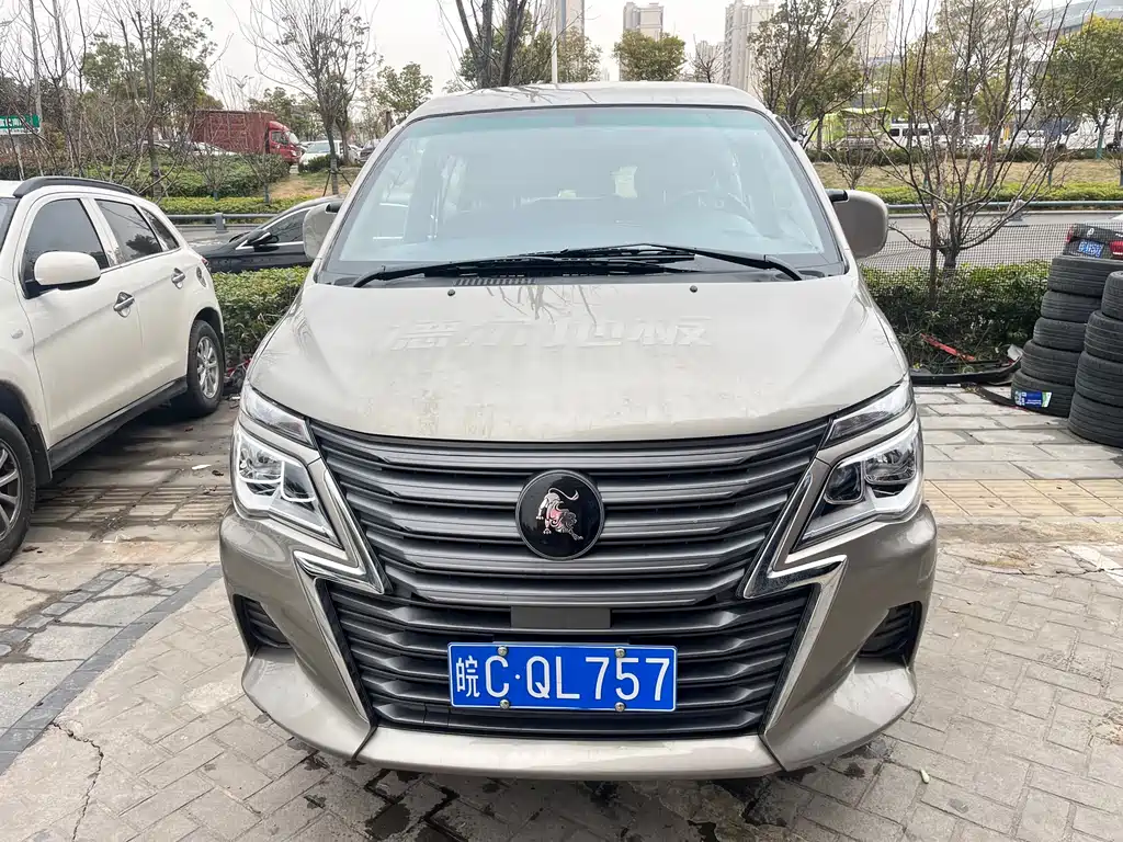 DONGFENG LINGZHI
