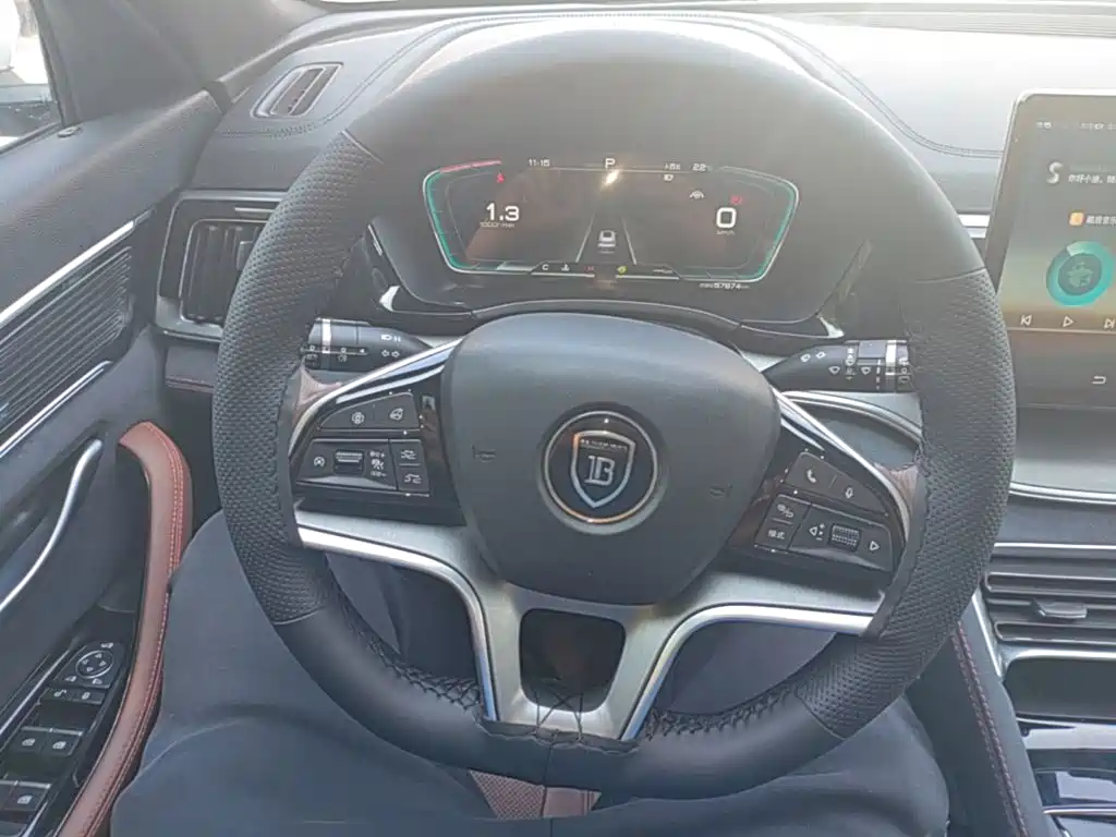 BYD PLUS — миниатюра 11