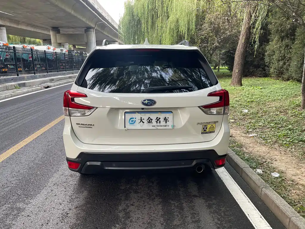 Subaru Forester — миниатюра 16
