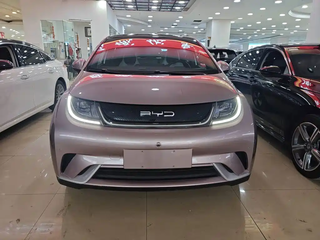 BYD Dolphin — миниатюра 6