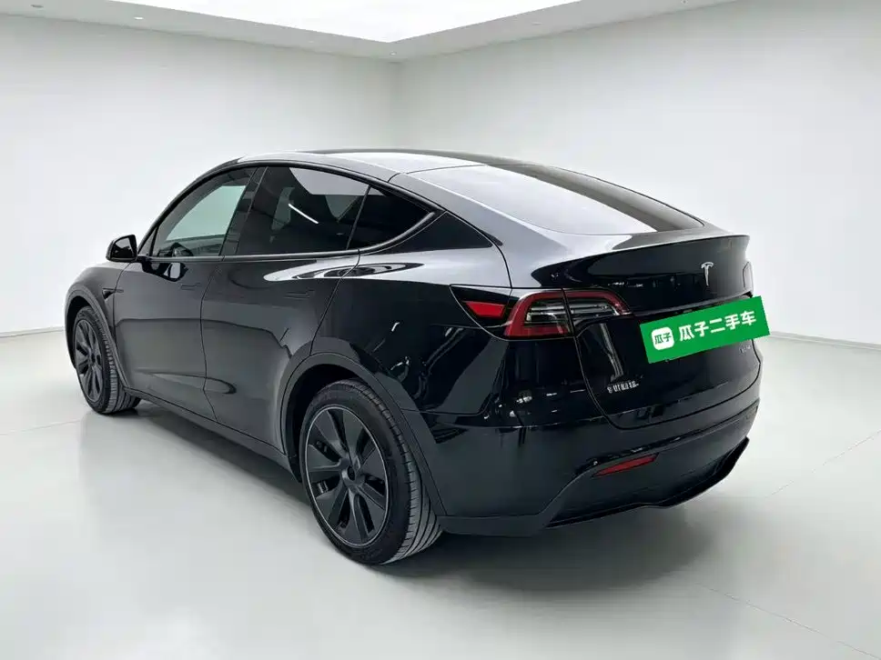 Tesla Model Y — миниатюра 5