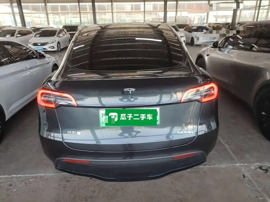 Tesla Model Y — миниатюра 6