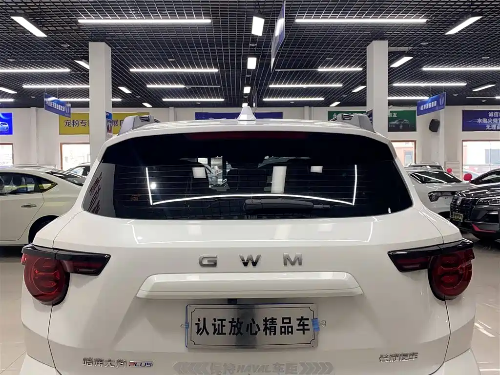 HAVAL SECOND GENERATION BIG DOG