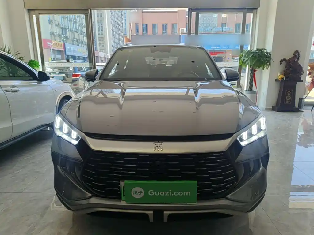 BYD Pro New Energy — миниатюра 3