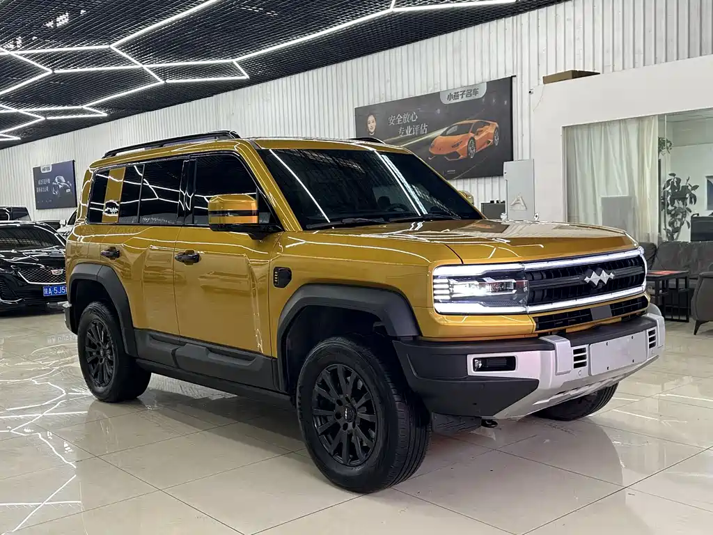 FANG CHENG BAO LEOPARD 5