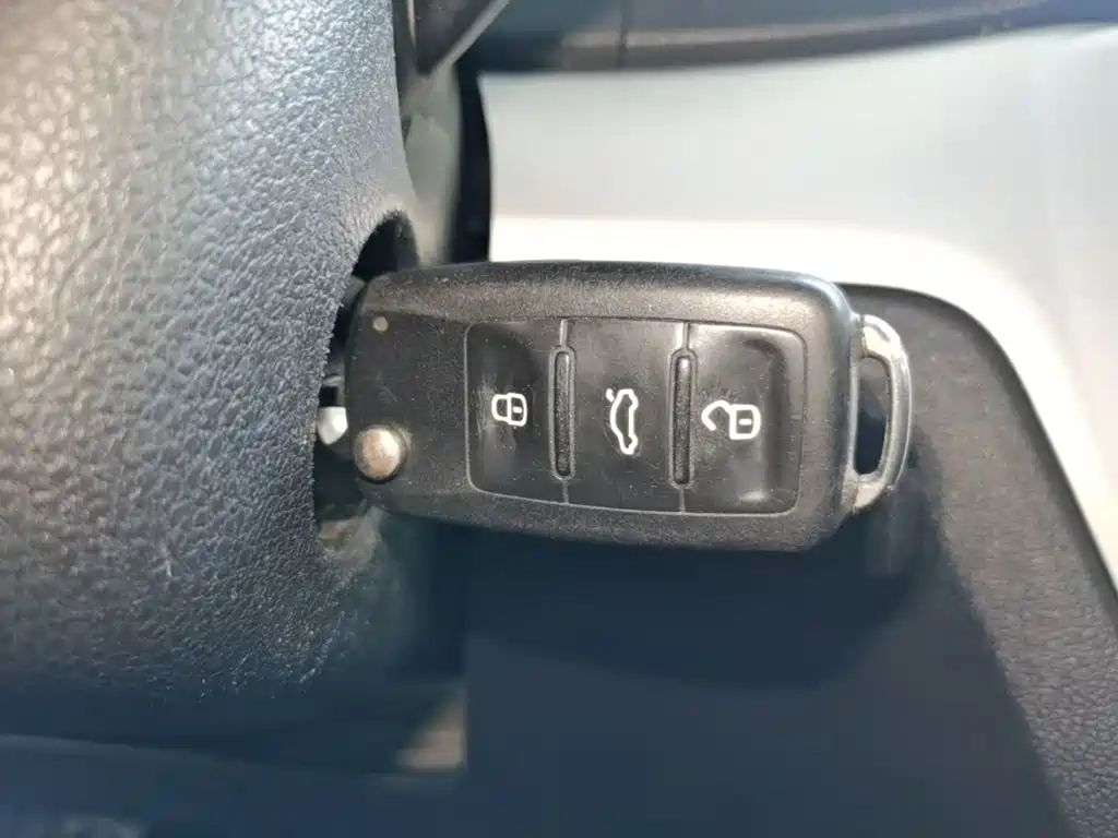 Volkswagen Gran Lavida — миниатюра 9