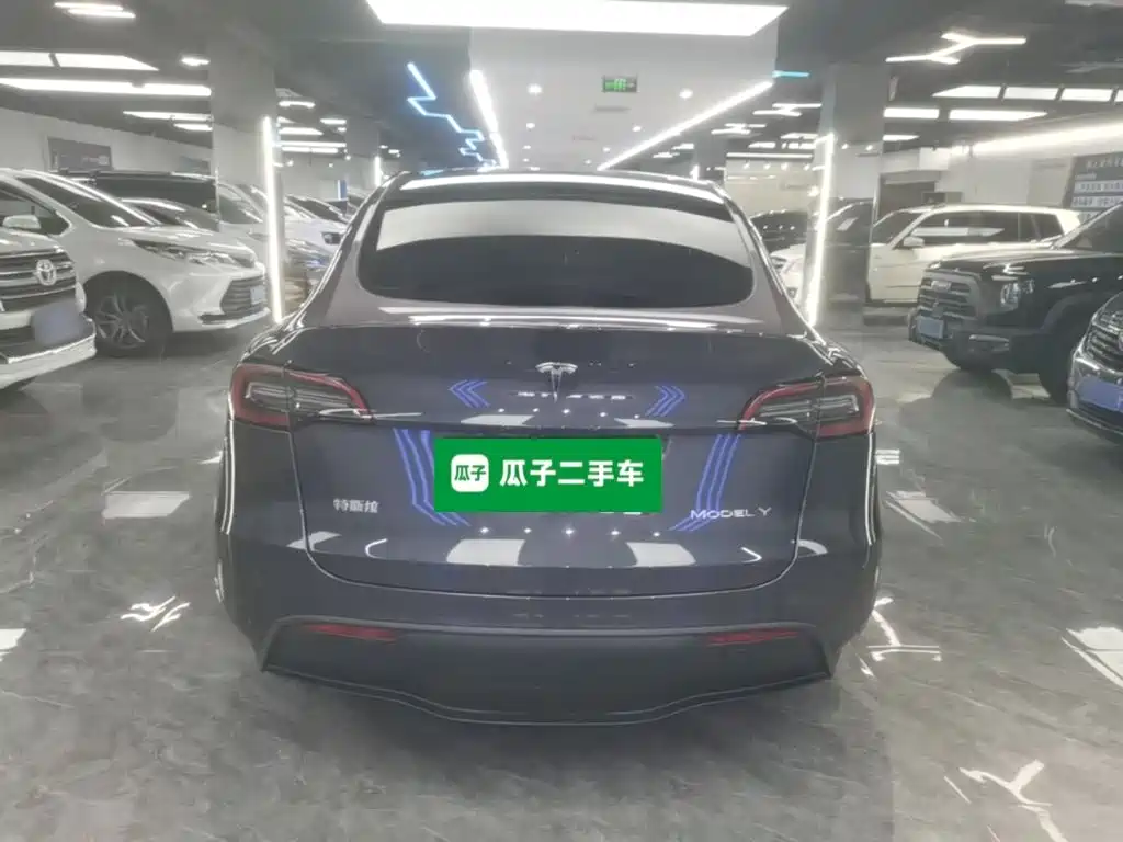 Tesla Model Y — миниатюра 6