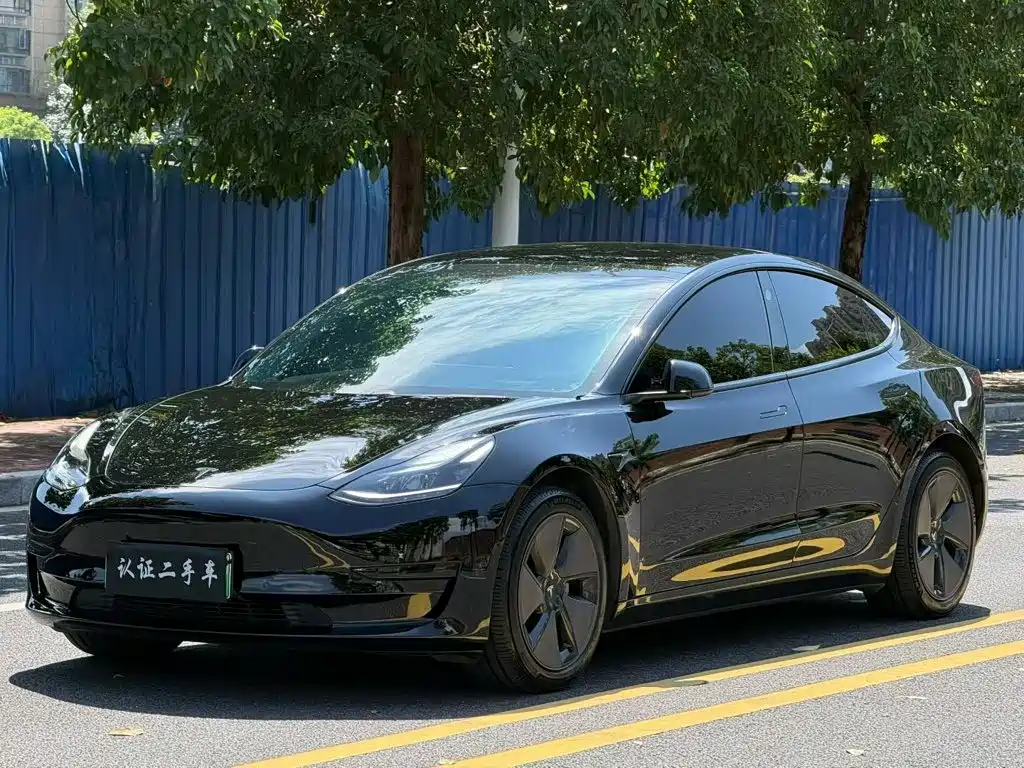Tesla Model 3 — миниатюра 3