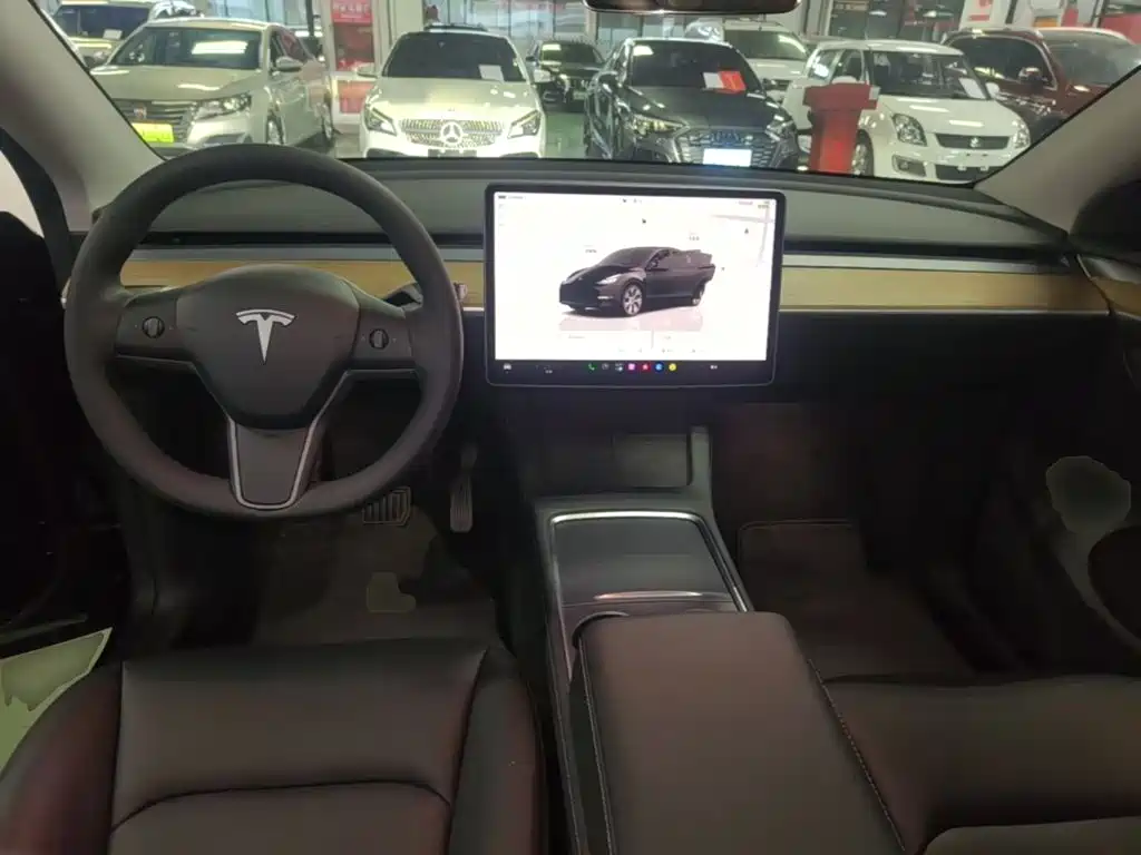 Tesla Model Y — миниатюра 10
