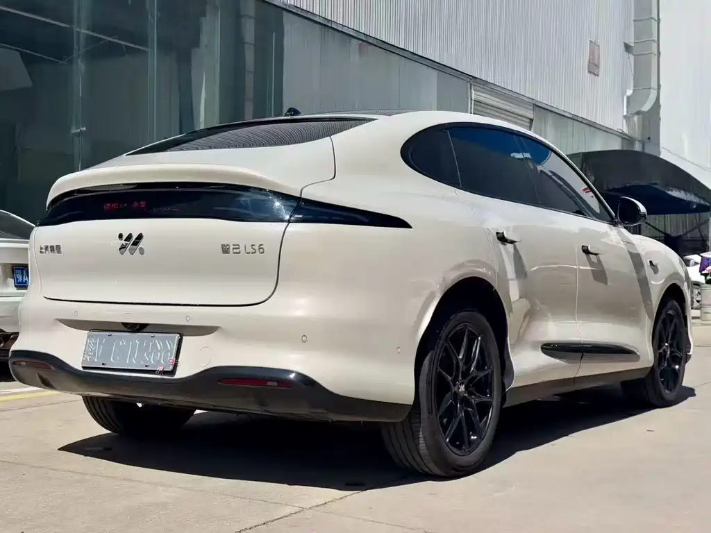 IM IM LS6 — миниатюра 4