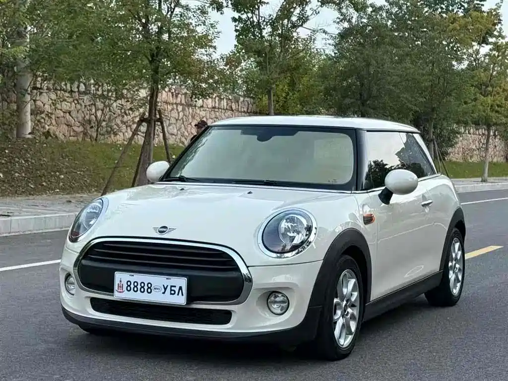 Mini Mini 2019