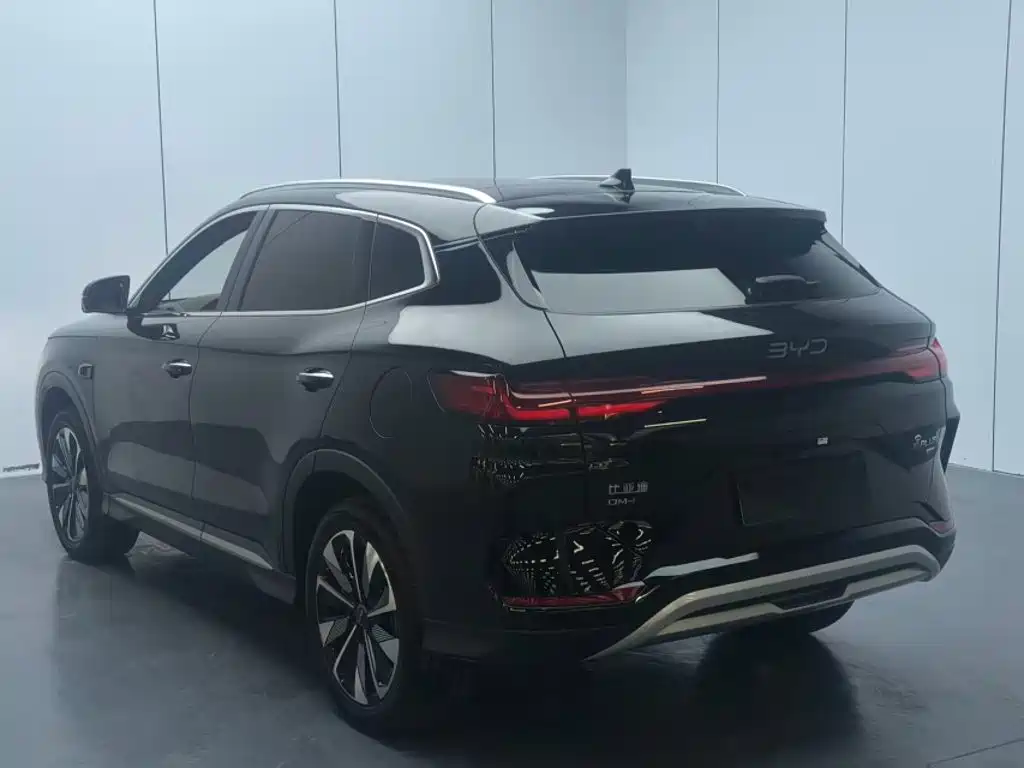BYD PLUS New Energy — миниатюра 4