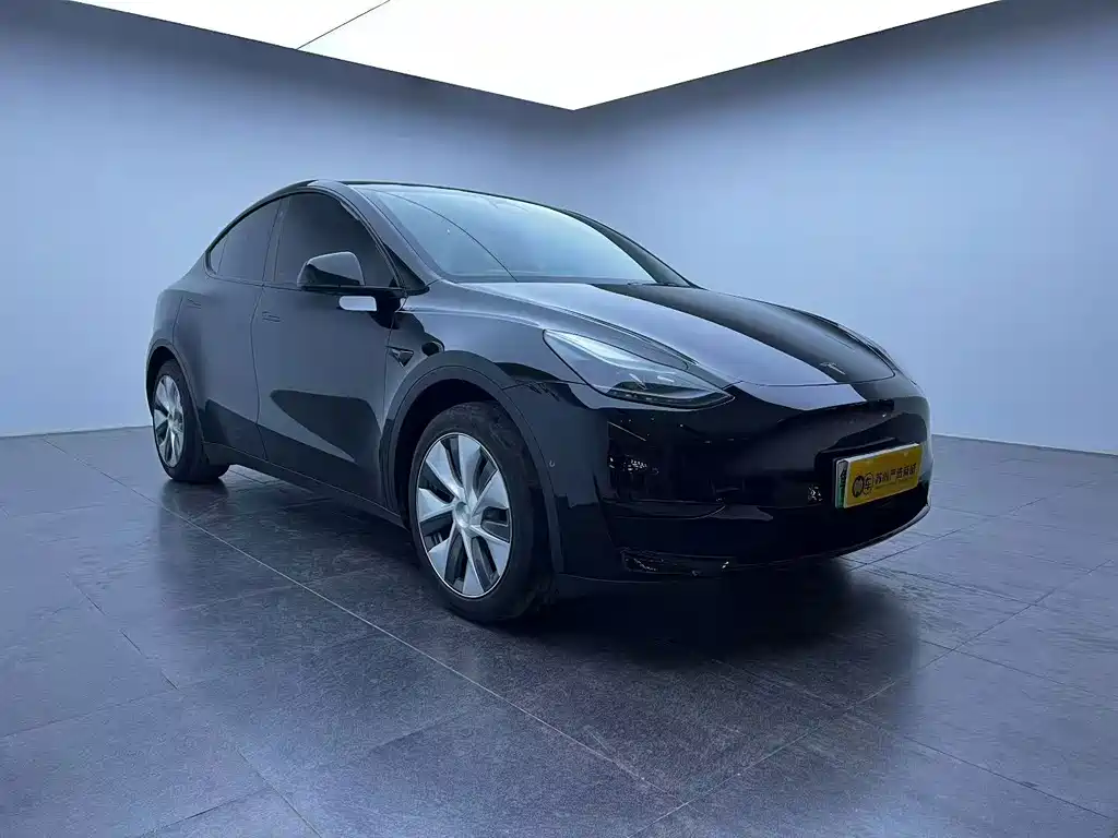 Tesla Model Y — миниатюра 3