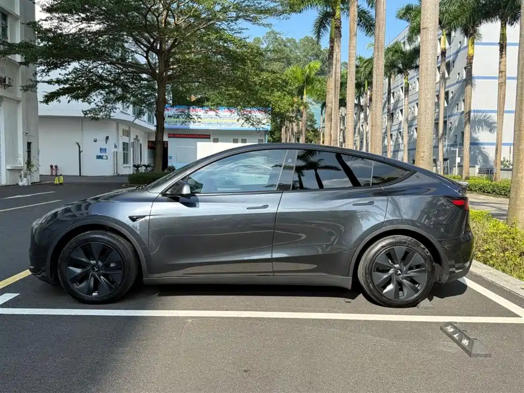 Tesla Model Y — миниатюра 9