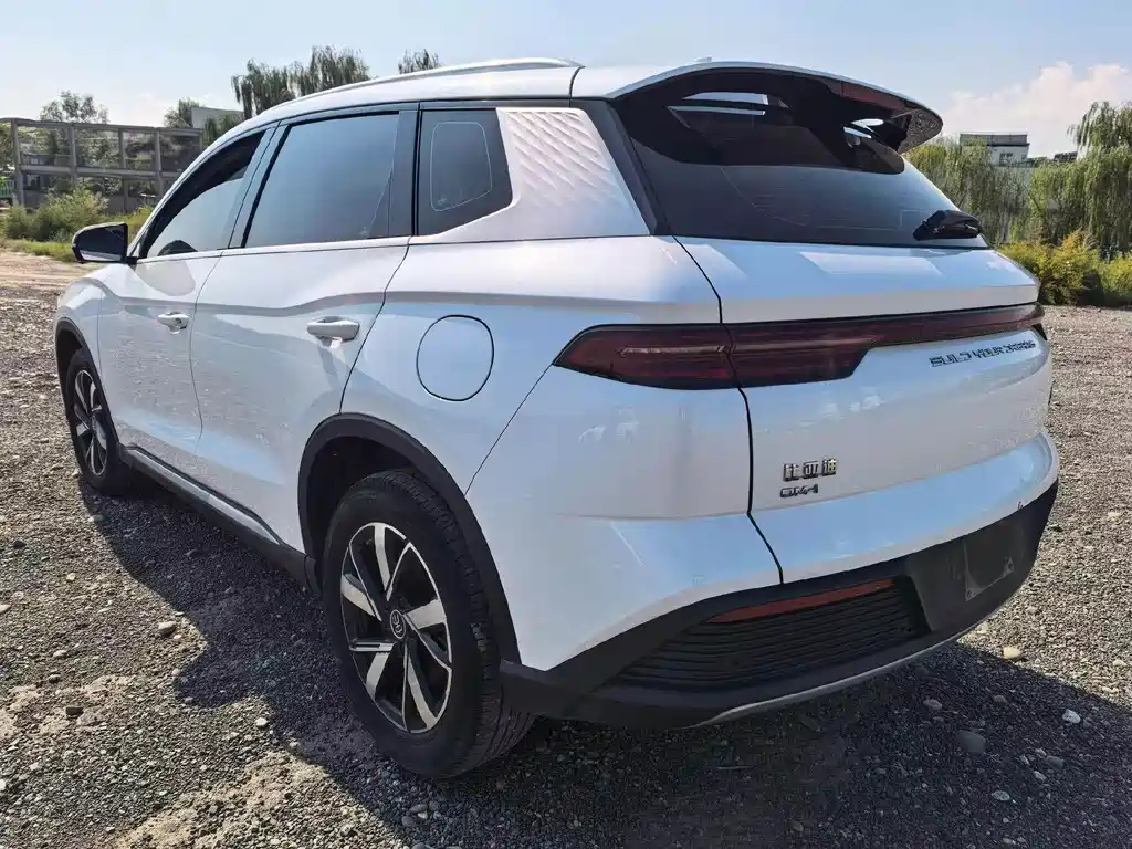 BYD Pro New Energy — миниатюра 4