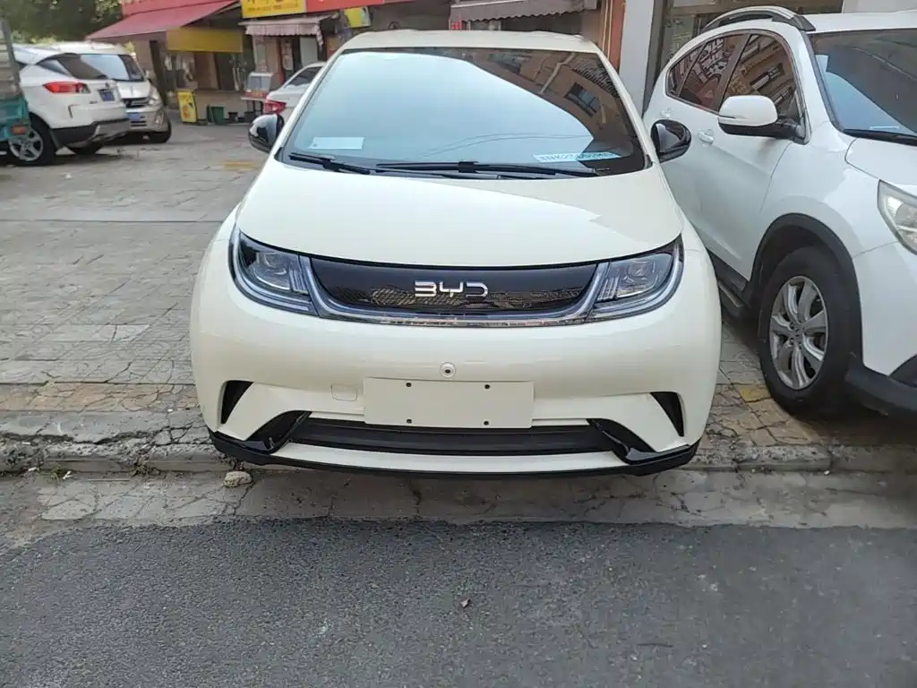 BYD Dolphin — миниатюра 3