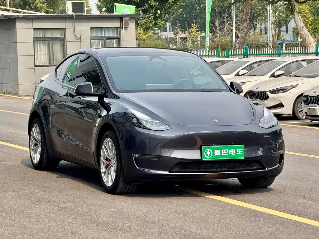 Tesla Model Y — миниатюра 3