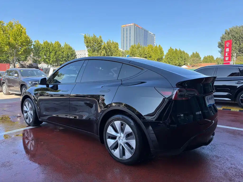 Tesla Model Y — миниатюра 4