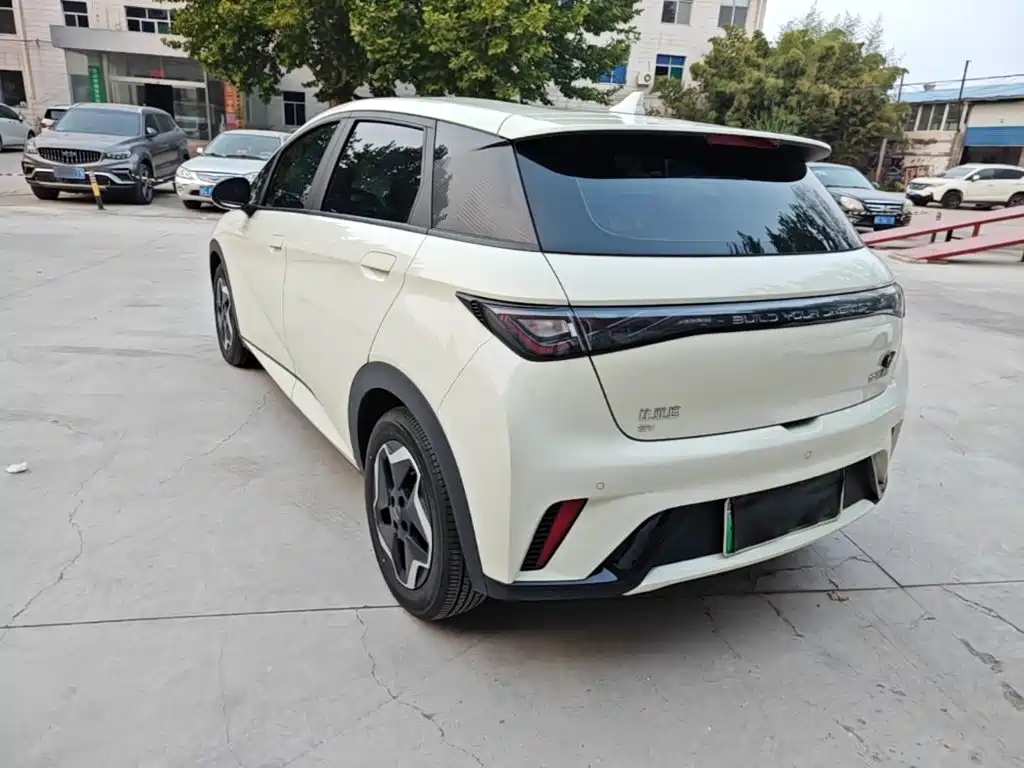 BYD Dolphin — миниатюра 5