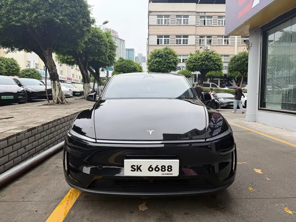 Tesla Model Y — миниатюра 2
