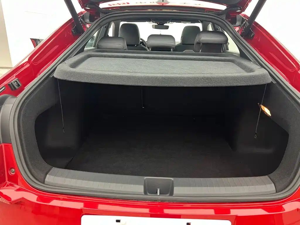 Volkswagen Lamando — миниатюра 6