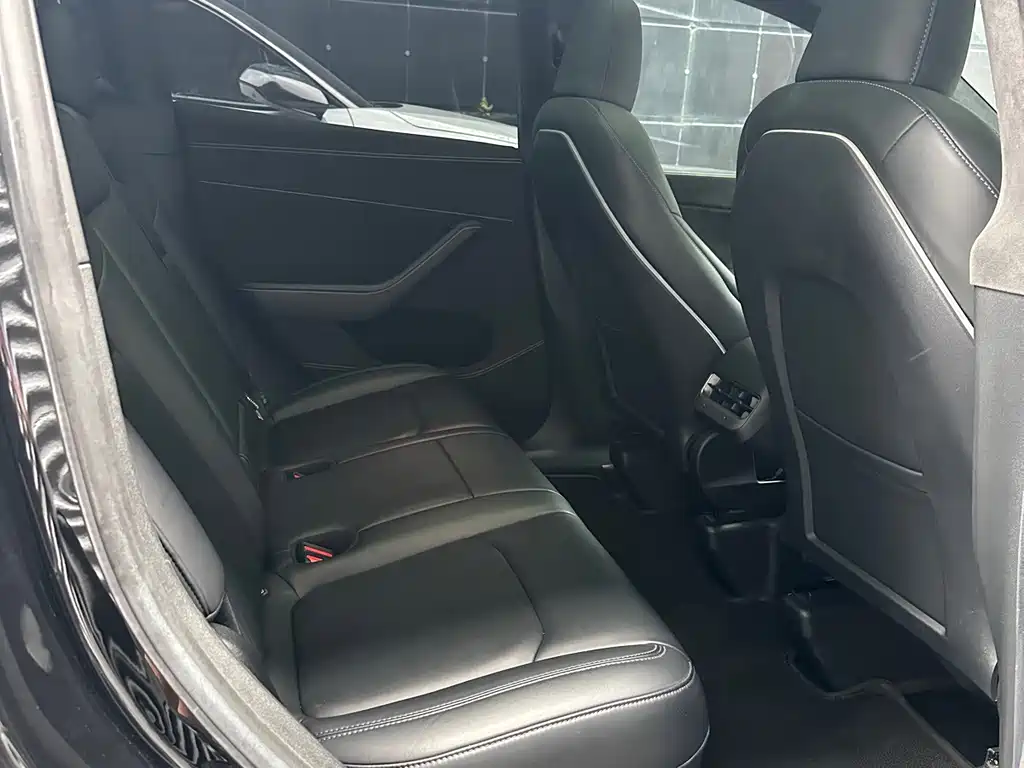 Tesla Model Y — миниатюра 11