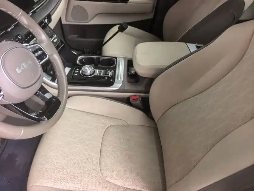 Kia Carnival — миниатюра 6