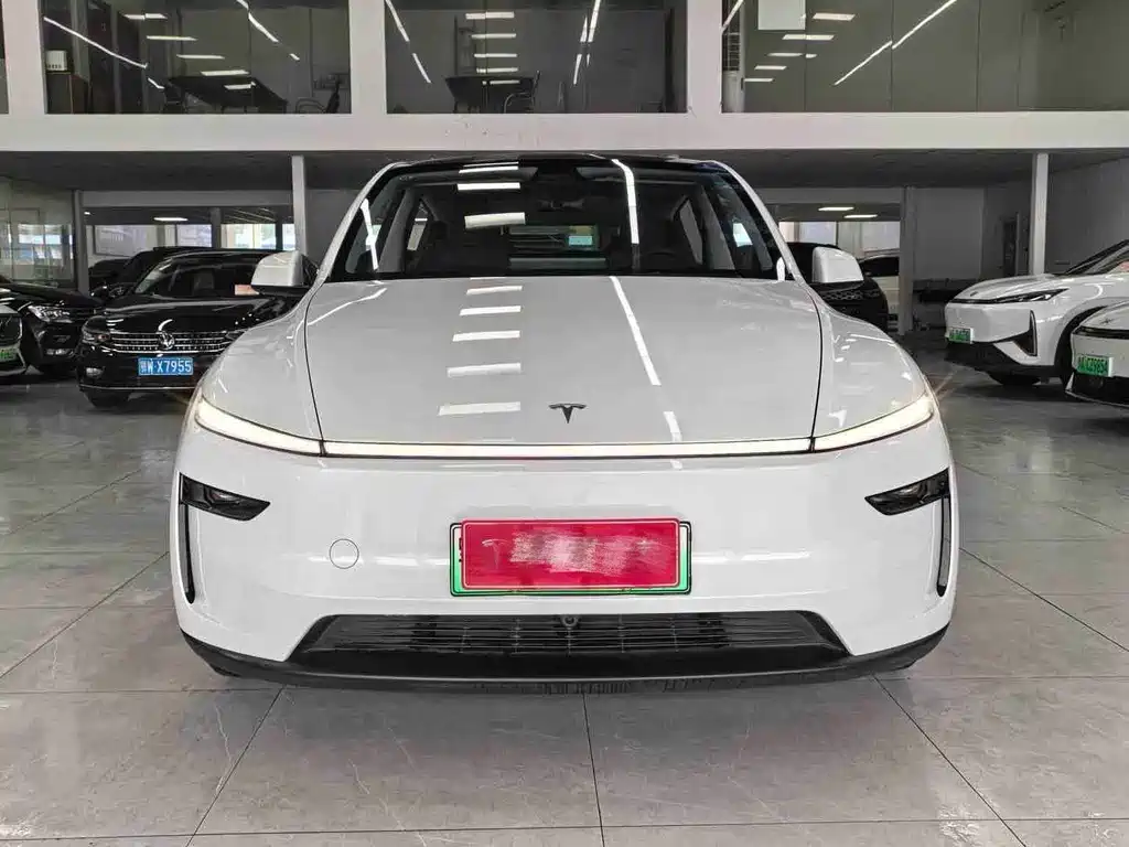 Tesla Model Y — миниатюра 2