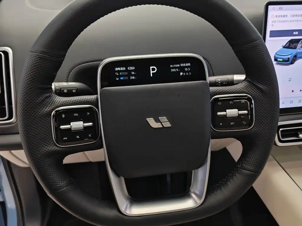 Li Auto Li L9 — миниатюра 14