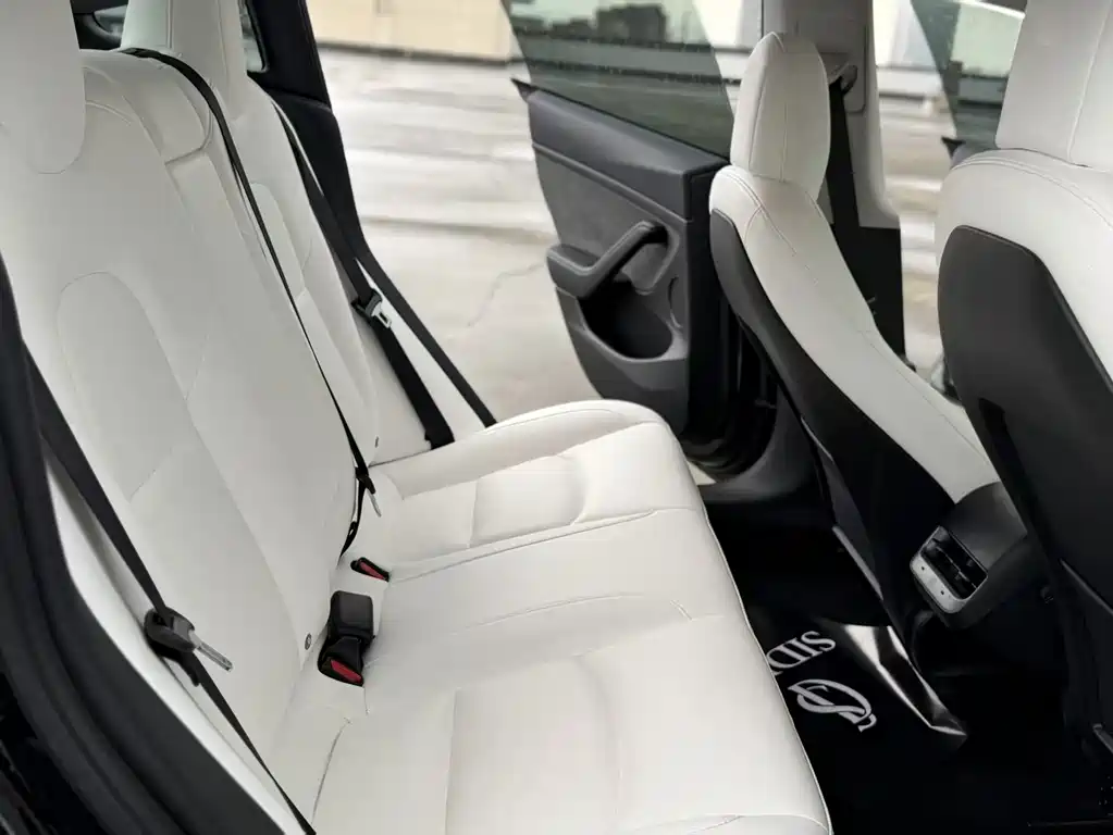 Tesla Model 3 — миниатюра 7