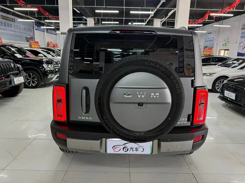 Haval Menglong New Energy — миниатюра 4