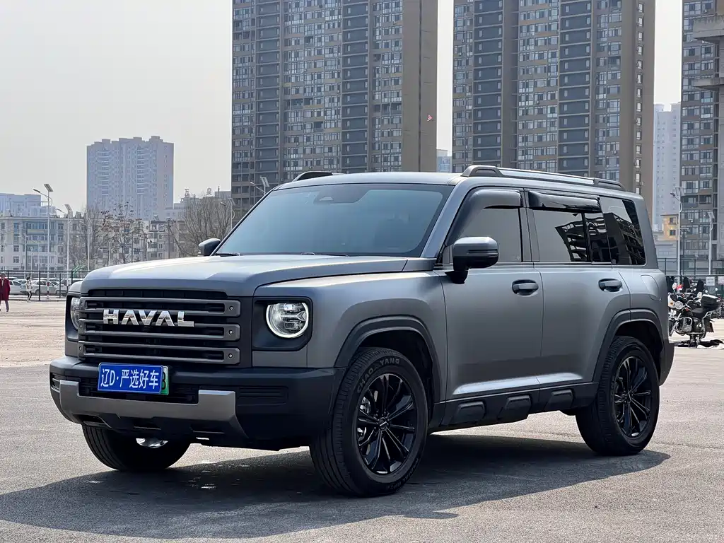 Haval Menglong New Energy 2024