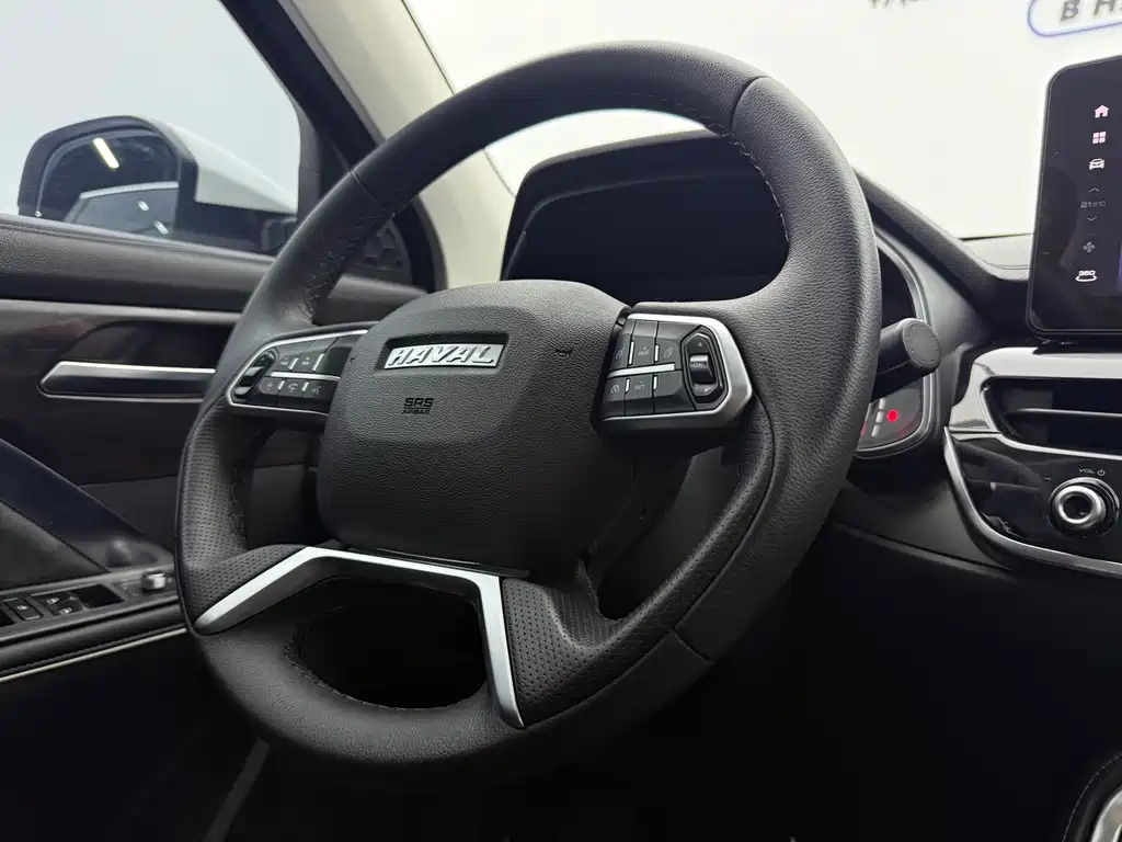 Haval H6 National Trend Edition 1.5GDIT Auto Champion Edition, фото 16