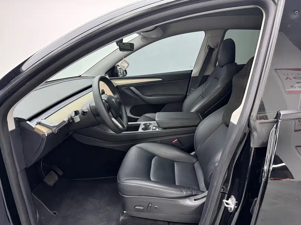 Tesla Model Y — миниатюра 4